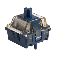 Astrolink Magnetic Switch