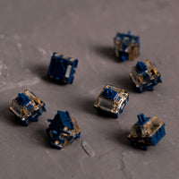 Astrolink Magnetic Switch