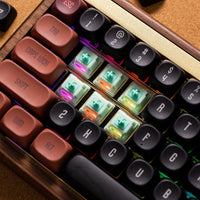 Botany Switch