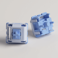 Mirror Switch