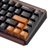 Ray68