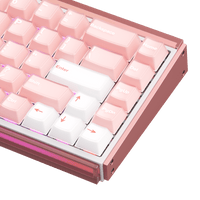 Ray68