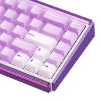 Ray68