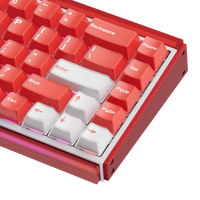 Ray68