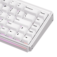 Ray68