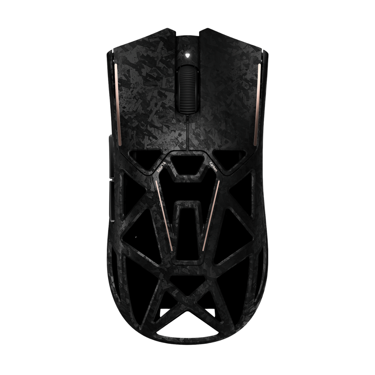 Echo