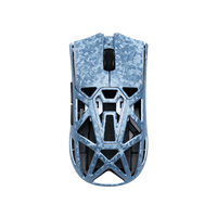 Echo