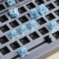 V3 Cream Blue Pro Switch