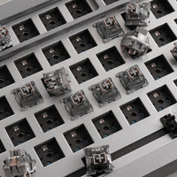 V3 Silver Pro Switch