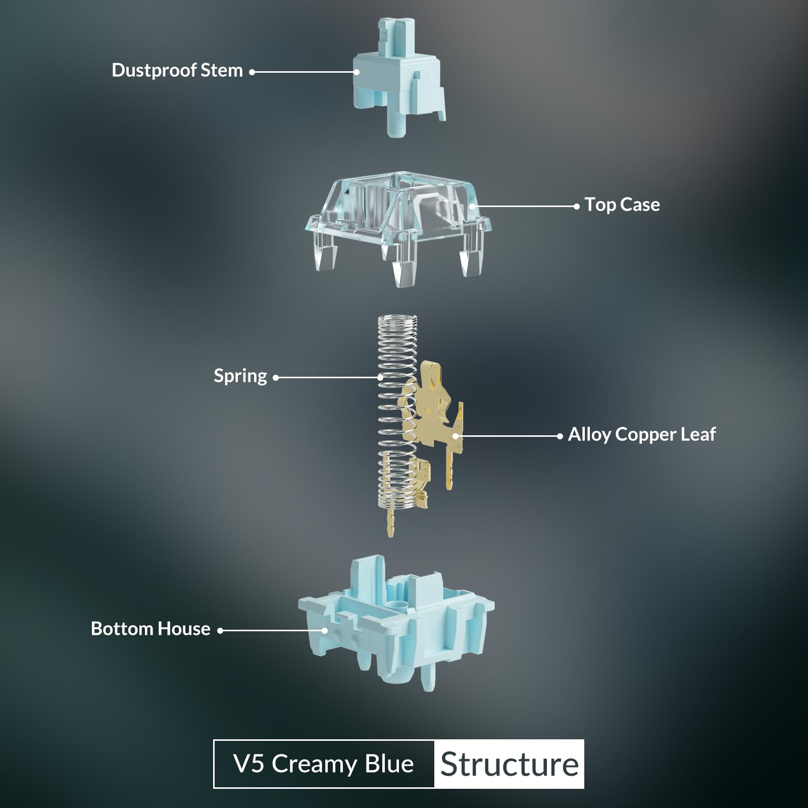 メカニカルスイッチの分解図（V5 Creamy Blue）